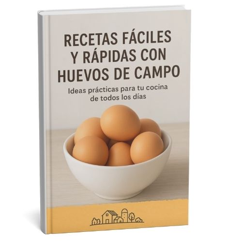 Recetas Fáciles y Rápidas con Huevos de Campo